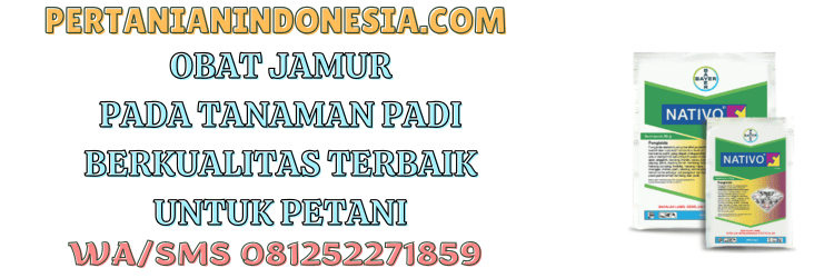 obat,jamur,tanaman,padi,pertanian indonesia